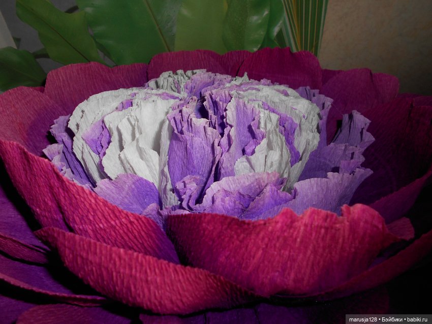 Топик больших красивых кукол