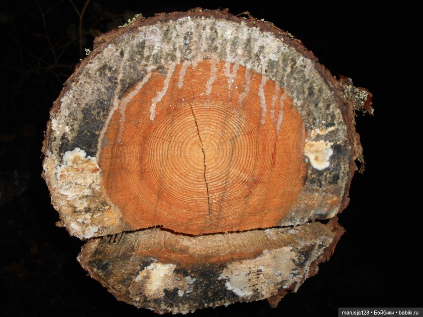 Осенние прогулки и странствия