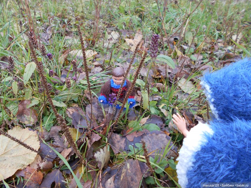 Осенние прогулки и странствия