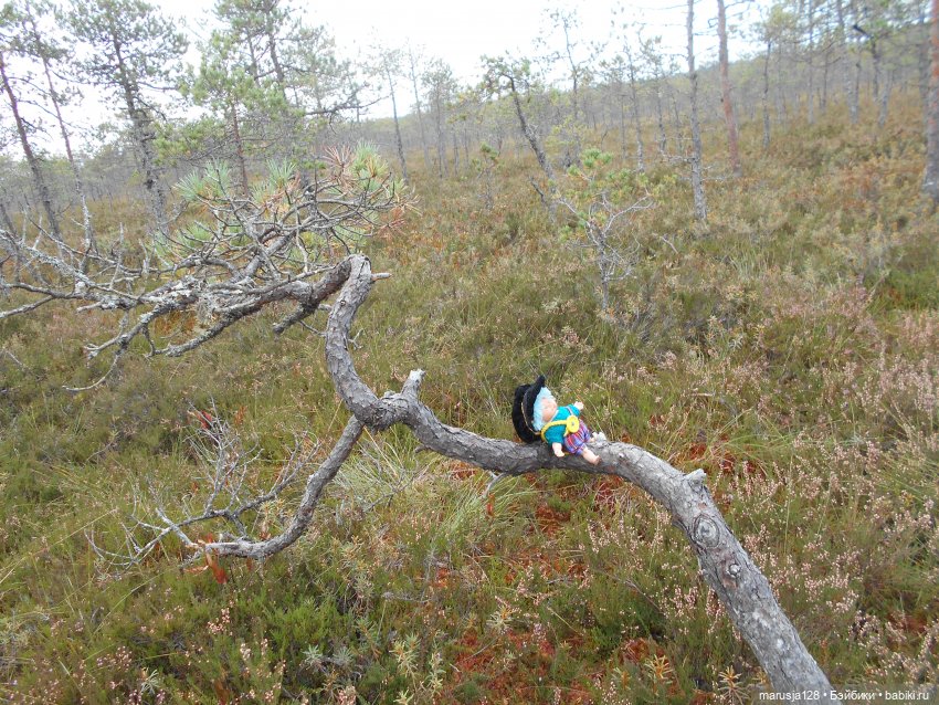 Осенние прогулки и странствия (фото 6)