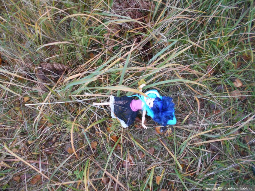 Осенние прогулки и странствия