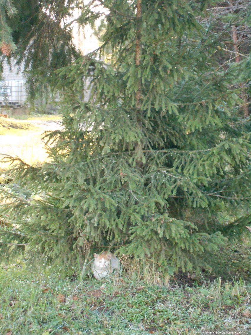 Осенние прогулки и странствия