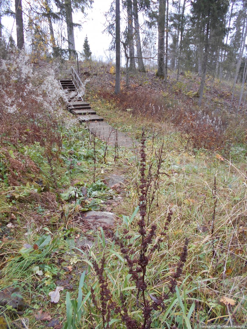 Осенние прогулки и странствия