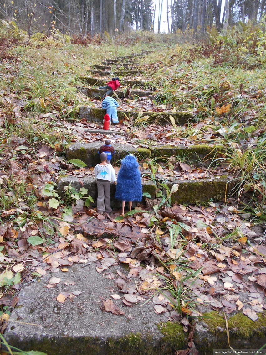 Осенние прогулки и странствия