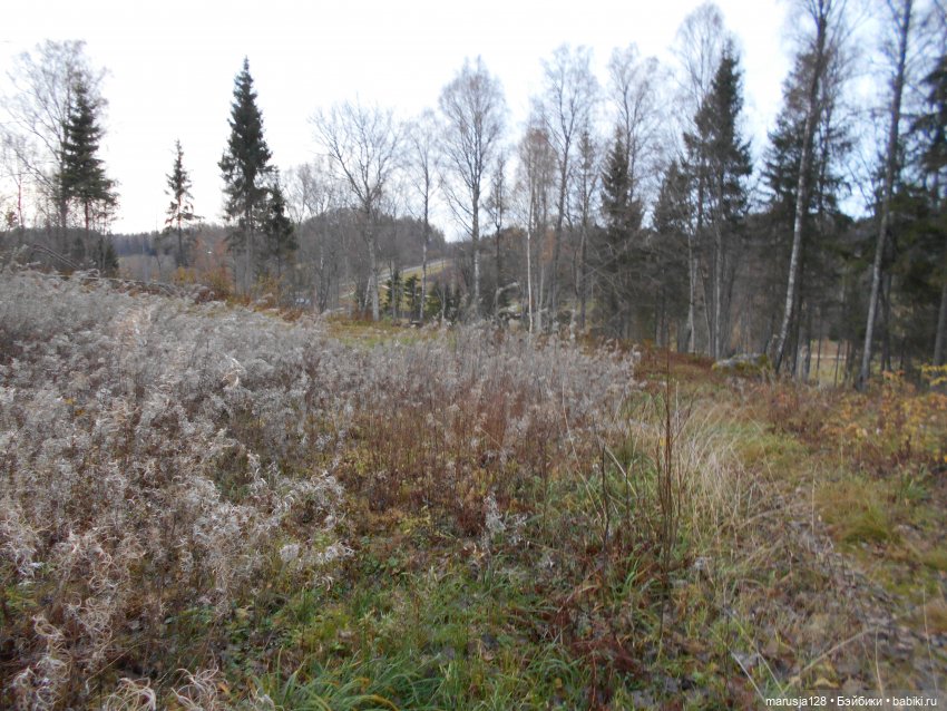 Осенние прогулки и странствия