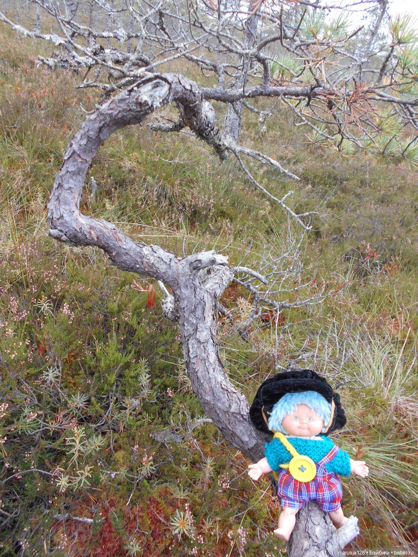 Осенние прогулки и странствия (фото 7)