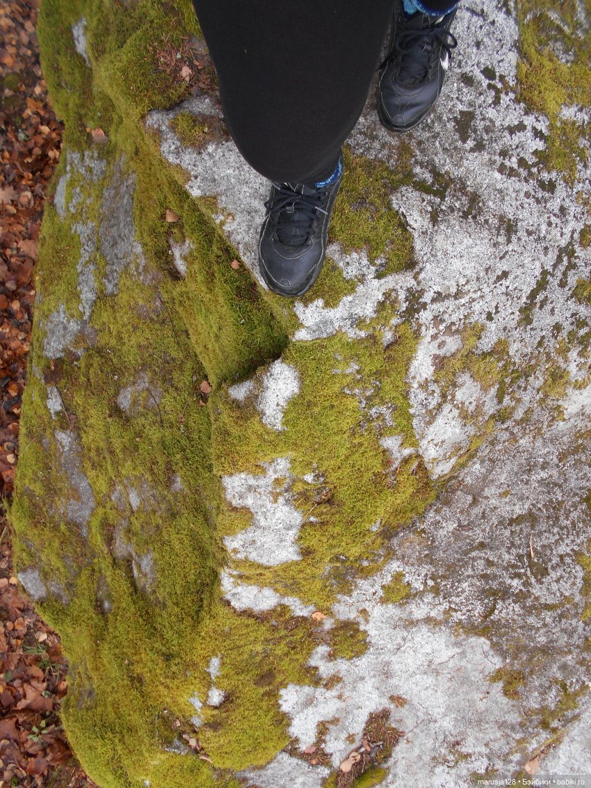 Осенние прогулки и странствия