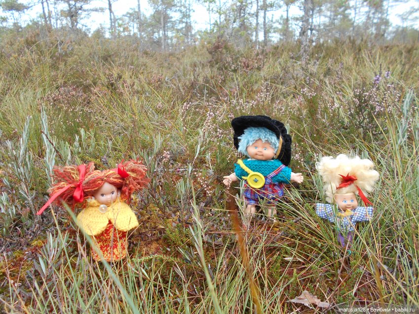 Осенние прогулки и странствия (фото 4)