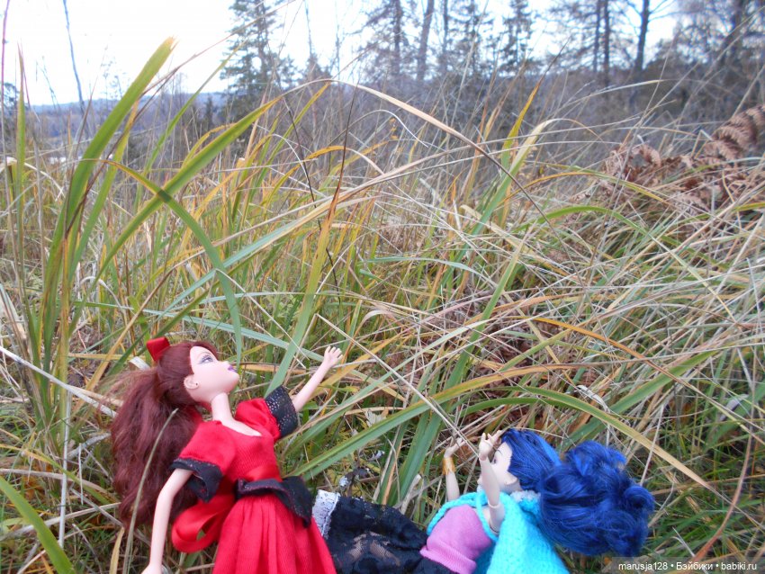 Осенние прогулки и странствия