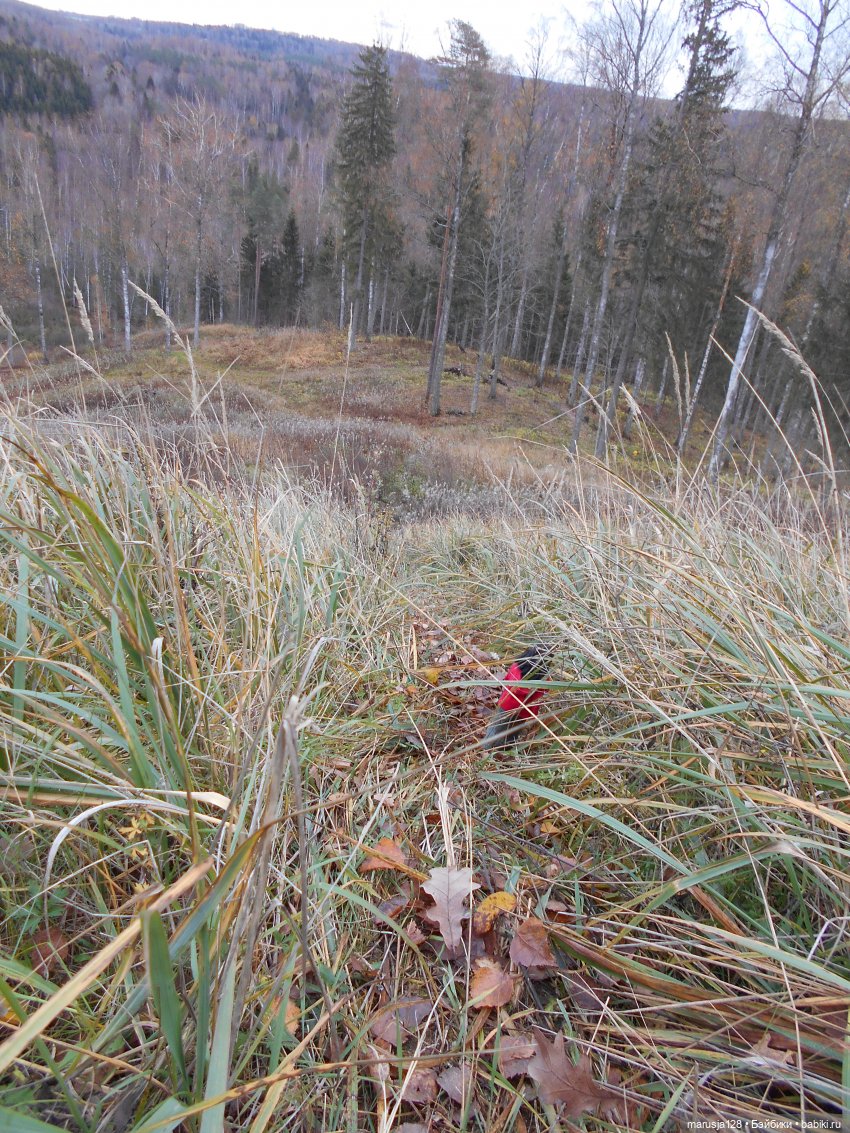Осенние прогулки и странствия