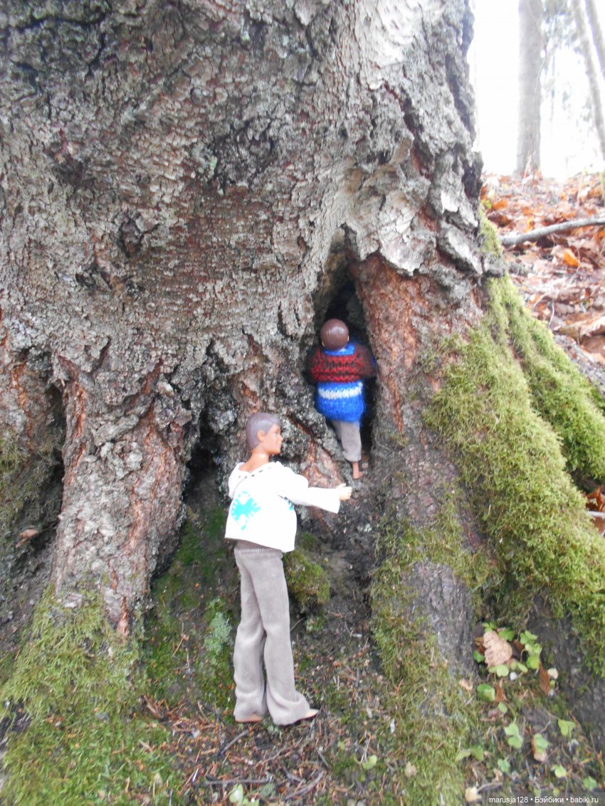 Осенние прогулки и странствия