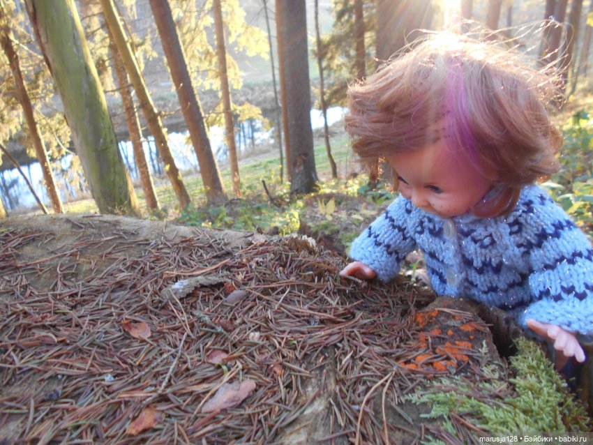 Осенние прогулки и странствия