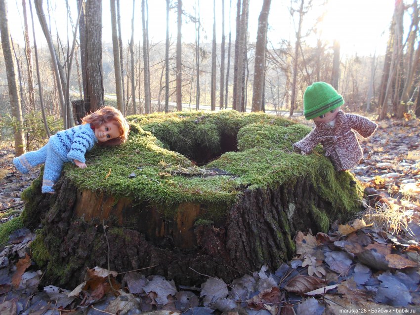 Осенние прогулки и странствия