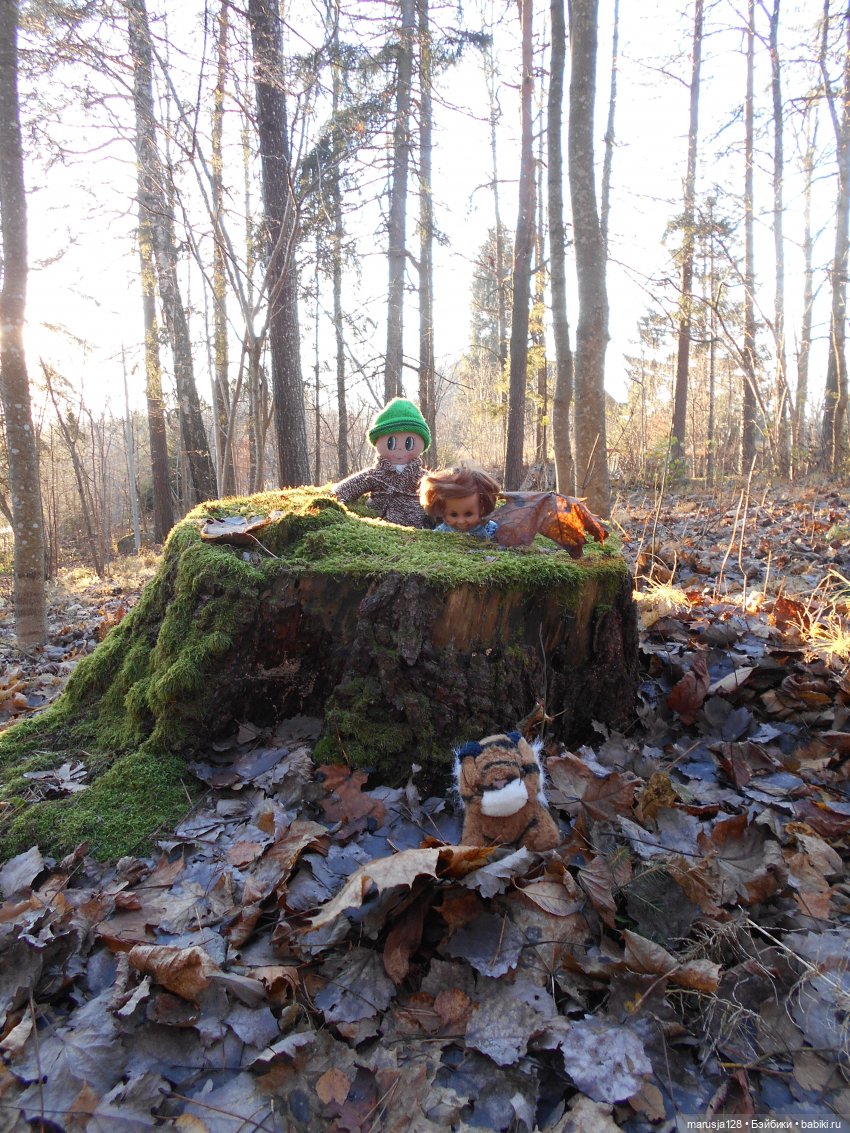Осенние прогулки и странствия