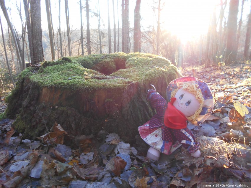 Осенние прогулки и странствия