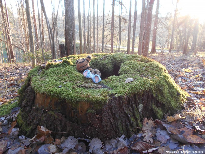 Осенние прогулки и странствия