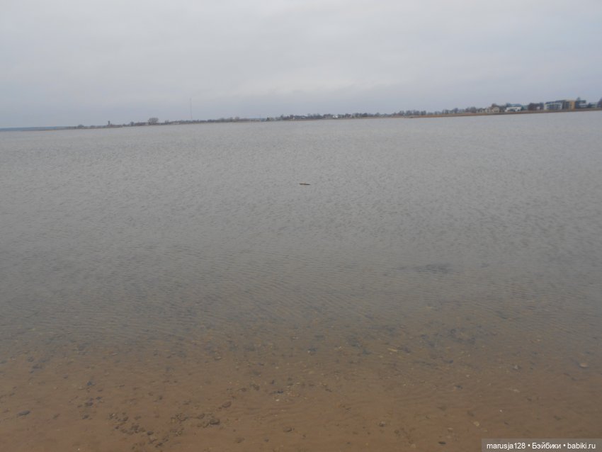 Кому владеть "Беатриче" — Интересное обо всем: поздравления