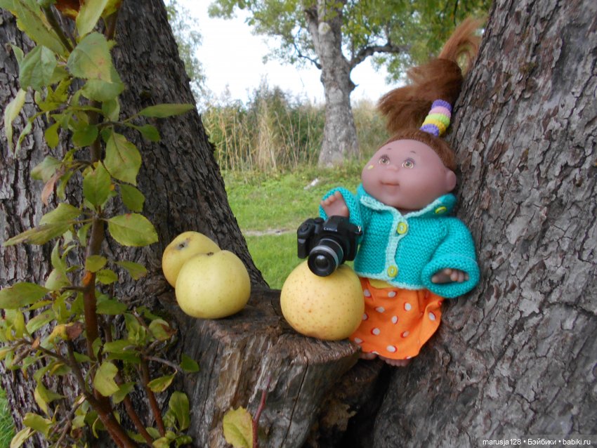 "Сказку сделать былью" Совместный проект Новомака и Радужного города