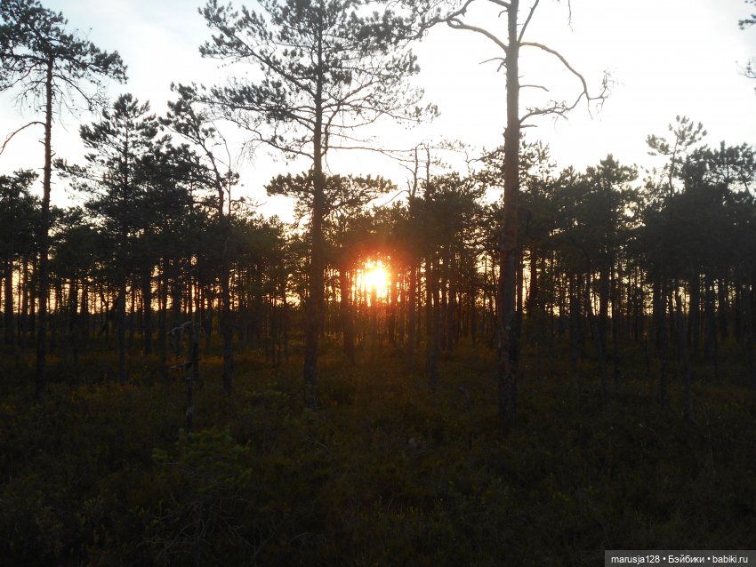 "Сказку сделать былью" Совместный проект Новомака и Радужного города (фото 5)