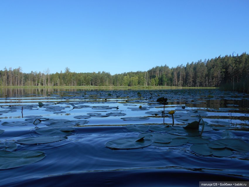 "Сказку сделать былью" Совместный проект Новомака и Радужного города (фото 4)