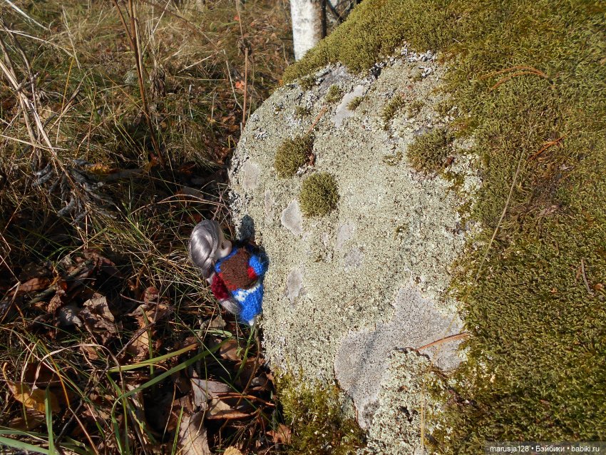 СКАЗКУ СДЕЛАТЬ БЫЛЬЮ. Зима