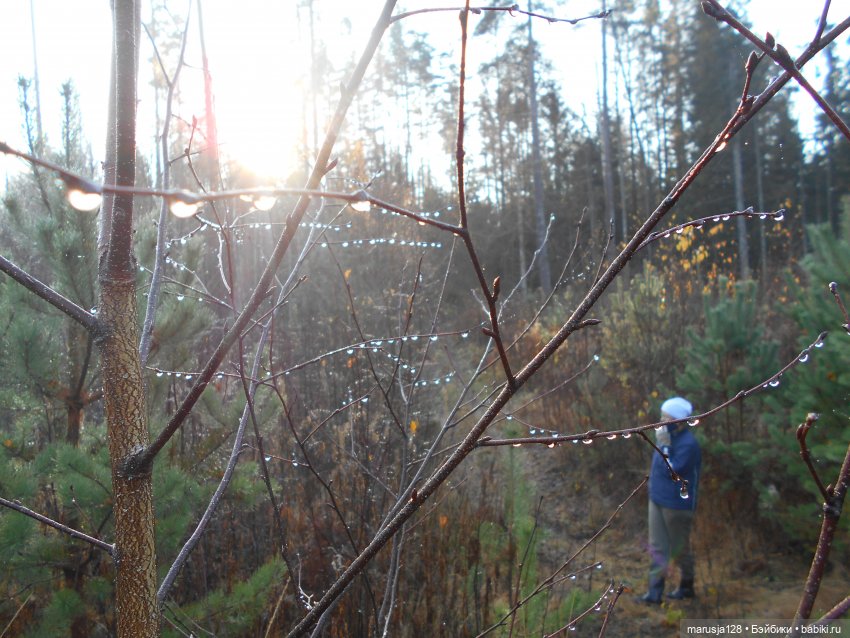 СКАЗКУ СДЕЛАТЬ БЫЛЬЮ. Зима
