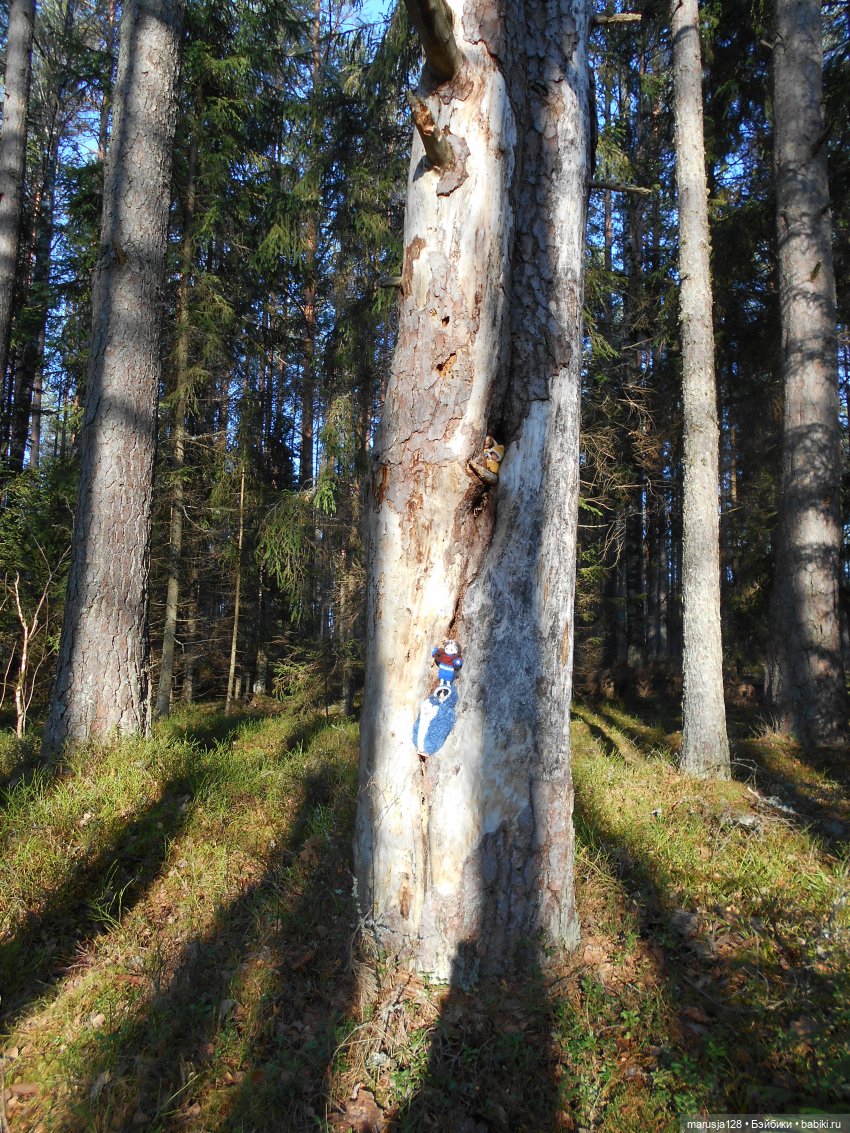 СКАЗКУ СДЕЛАТЬ БЫЛЬЮ. Зима
