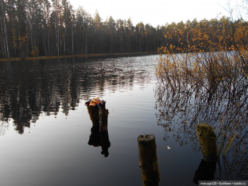 СКАЗКУ СДЕЛАТЬ БЫЛЬЮ. Зима