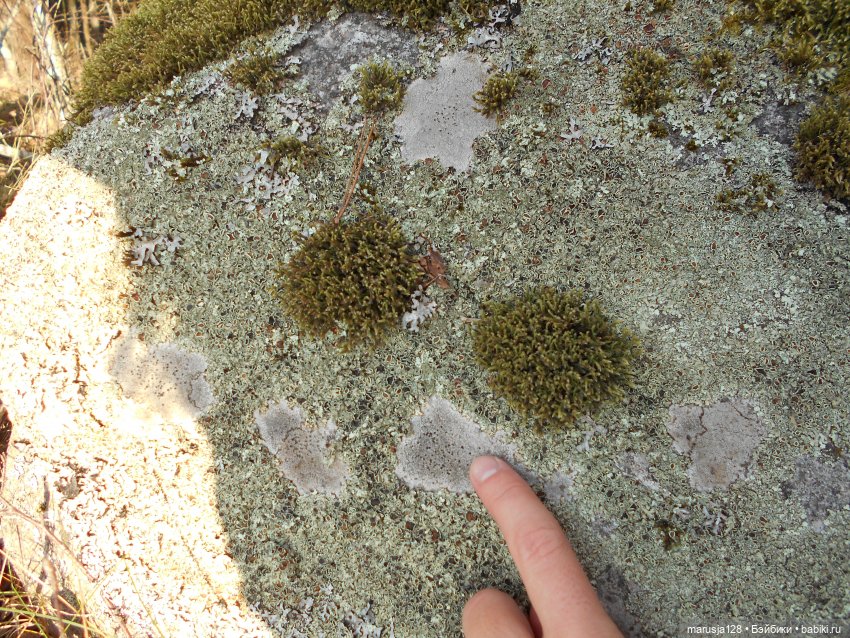 СКАЗКУ СДЕЛАТЬ БЫЛЬЮ. Зима