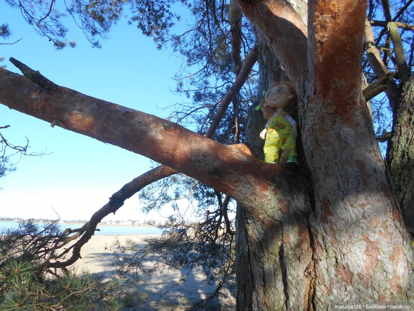 СКАЗКУ СДЕЛАТЬ БЫЛЬЮ. Весна