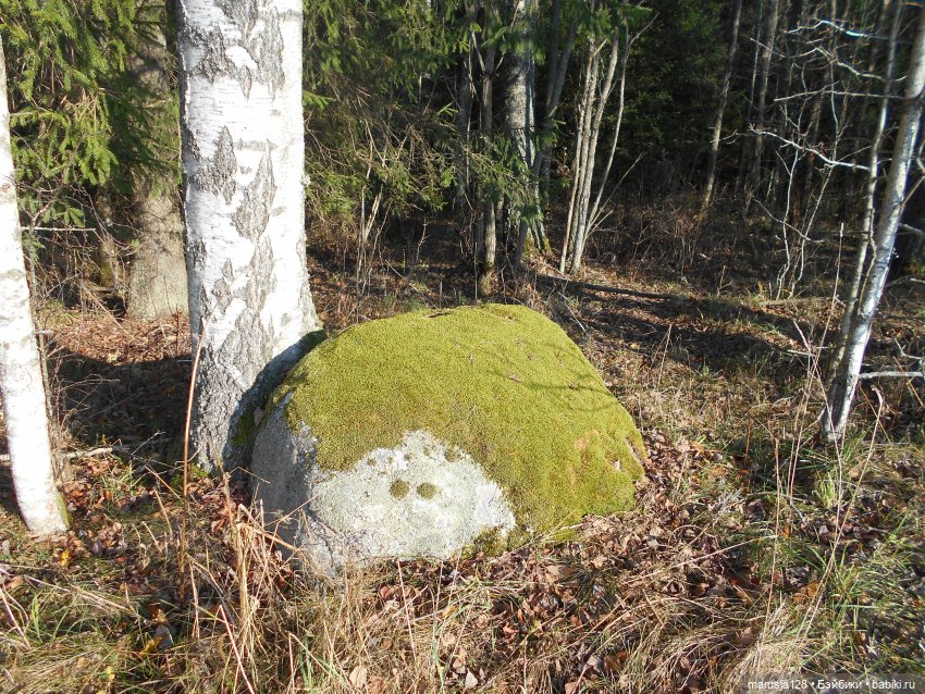 СКАЗКУ СДЕЛАТЬ БЫЛЬЮ. Зима