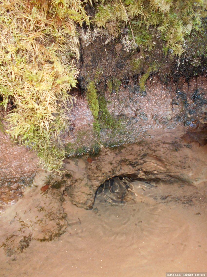 СКАЗКУ СДЕЛАТЬ БЫЛЬЮ. Зима