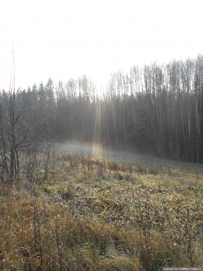СКАЗКУ СДЕЛАТЬ БЫЛЬЮ. Зима