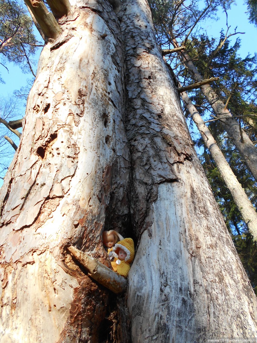 СКАЗКУ СДЕЛАТЬ БЫЛЬЮ. Зима