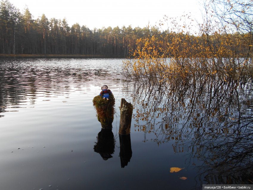 СКАЗКУ СДЕЛАТЬ БЫЛЬЮ. Зима