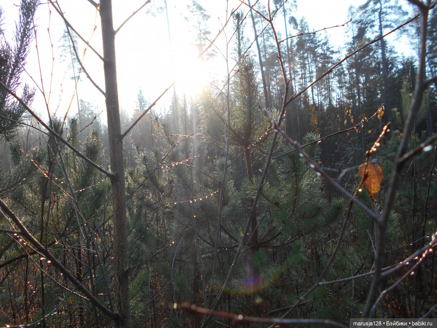 СКАЗКУ СДЕЛАТЬ БЫЛЬЮ. Зима