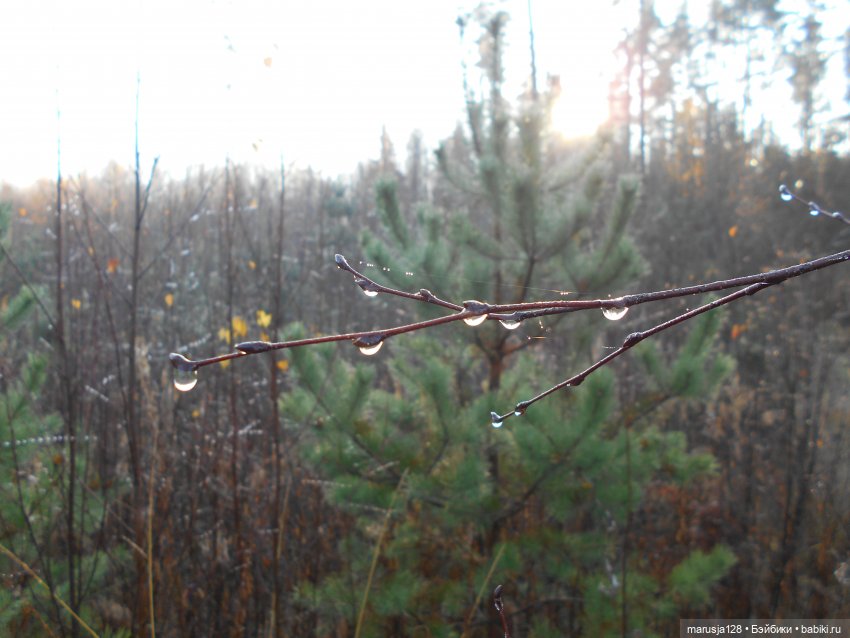 СКАЗКУ СДЕЛАТЬ БЫЛЬЮ. Зима
