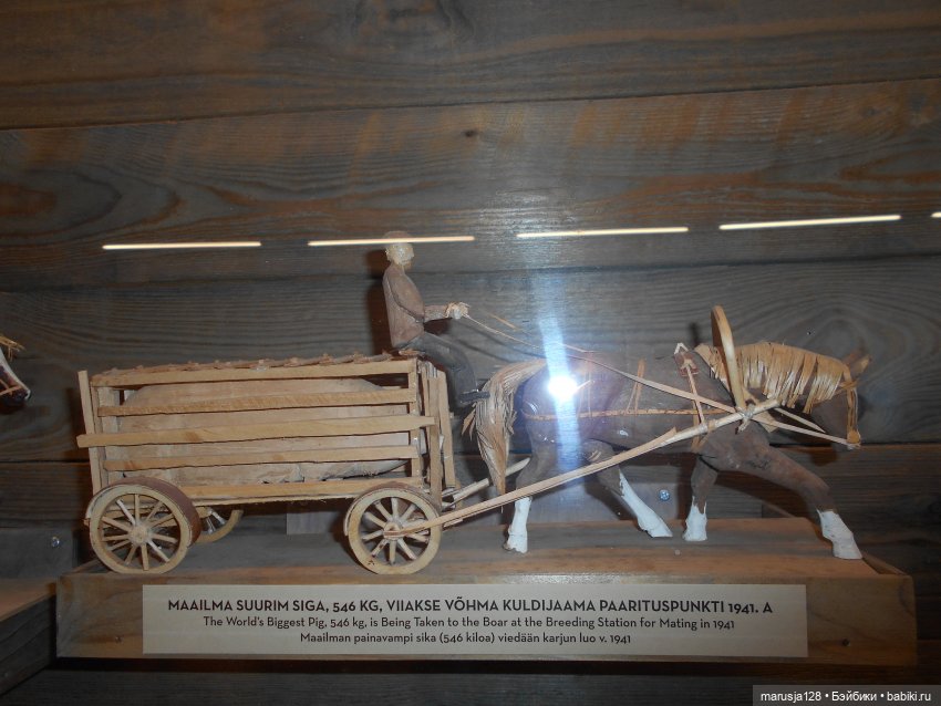 Olustvere — Туризм и путешествия: фотоотчеты из поездок