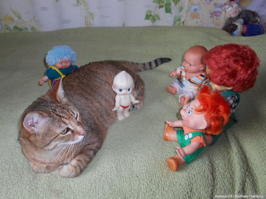 Большая Страшная Бука против Антизахапа