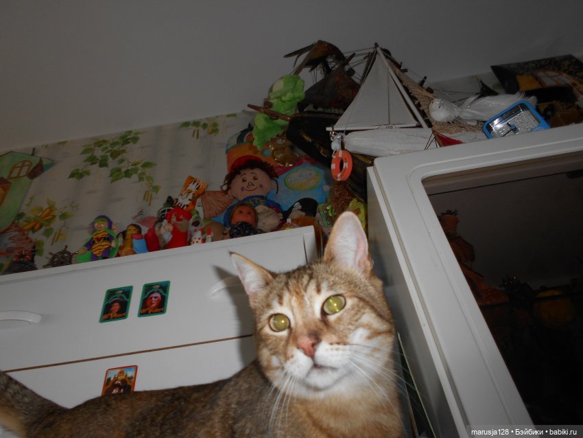 Большая Страшная Бука против Антизахапа