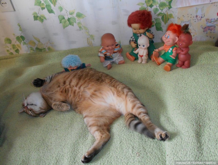 Большая Страшная Бука против Антизахапа