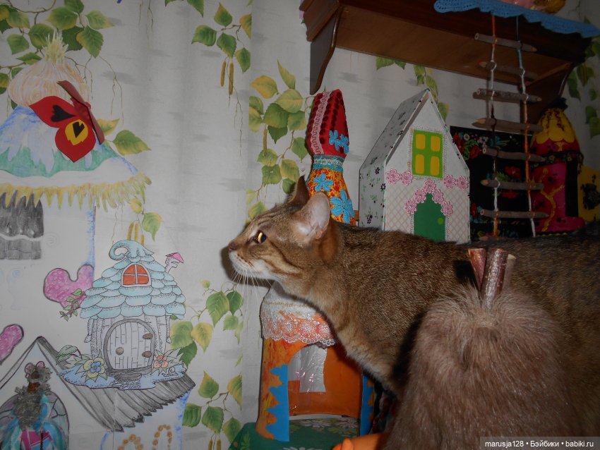 Большая Страшная Бука против Антизахапа