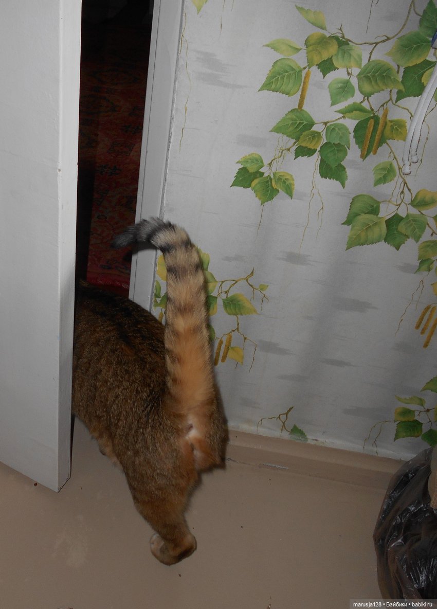 Большая Страшная Бука против Антизахапа