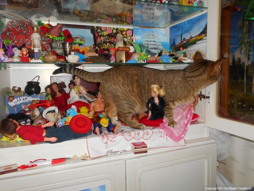 Большая Страшная Бука против Антизахапа