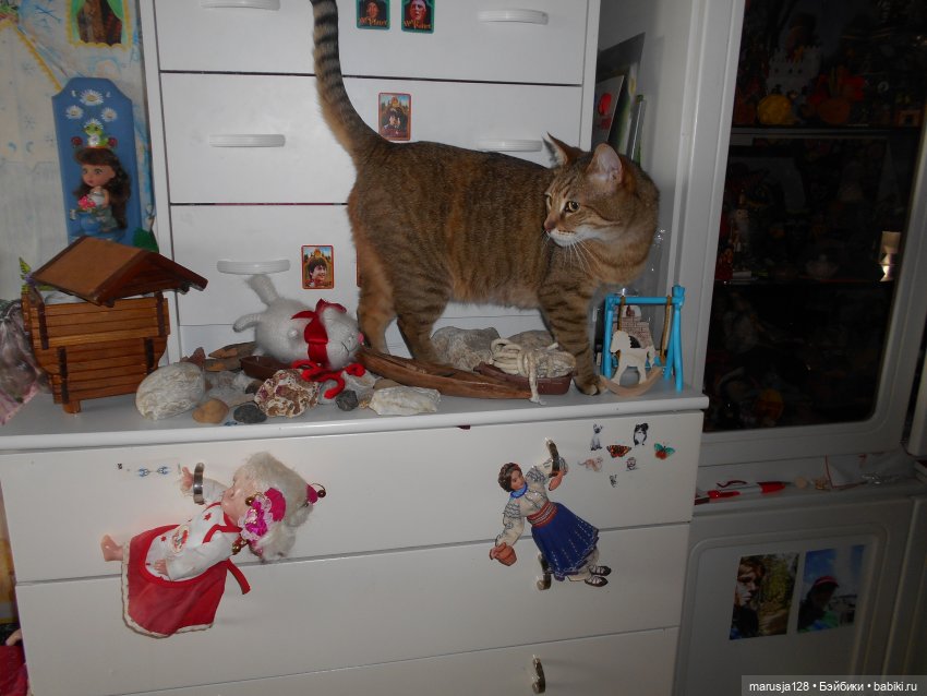 Большая Страшная Бука против Антизахапа