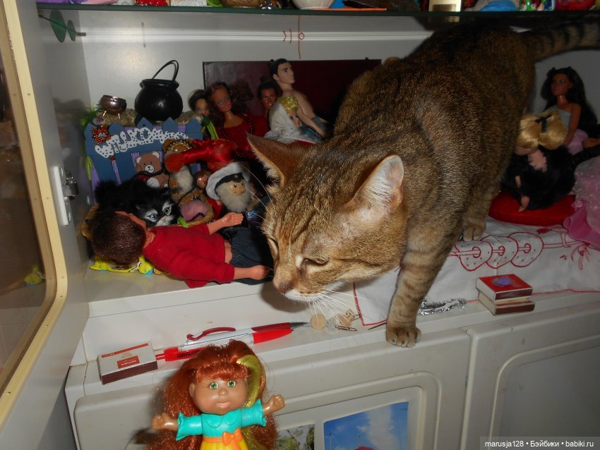 Большая Страшная Бука против Антизахапа