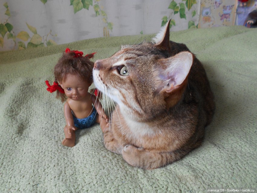 Большая Страшная Бука против Антизахапа (фото 3)