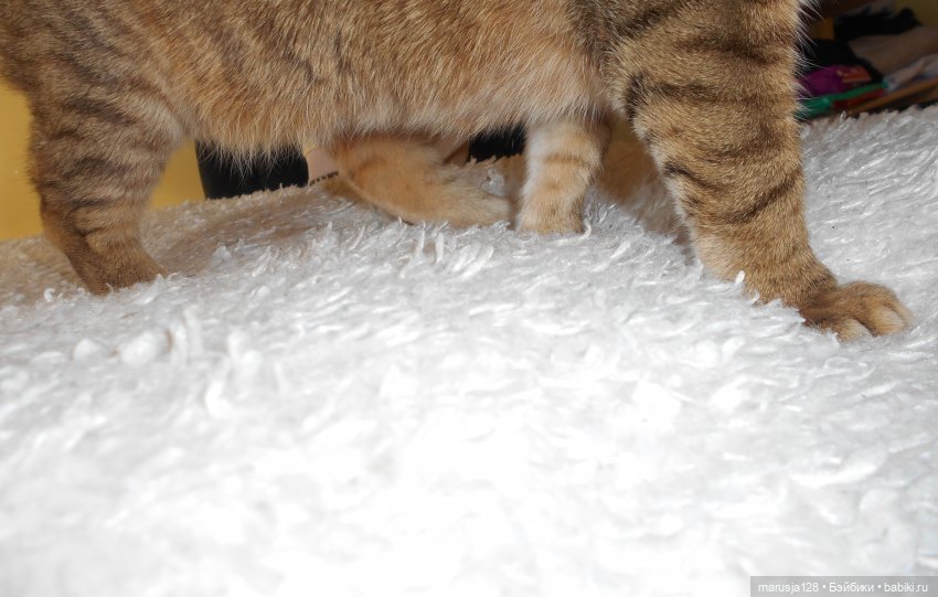 Большая Страшная Бука против Антизахапа (фото 2)