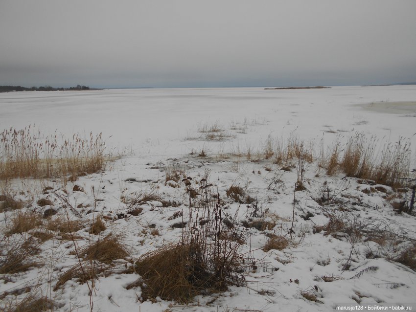 Кнут и пряник: неожиданное продолжение