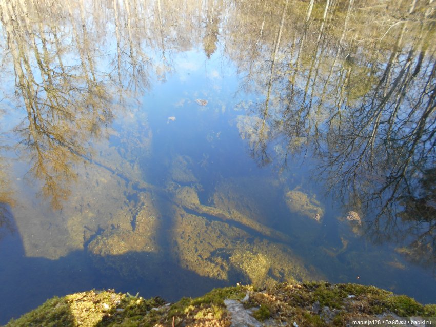 Снова остров Вормси — Туризм и путешествия: фотоотчеты из поездок